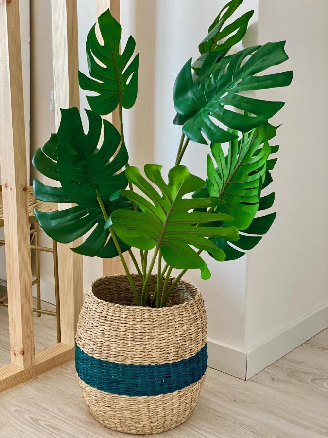 Studio with Terrace,1053123460:JPEG