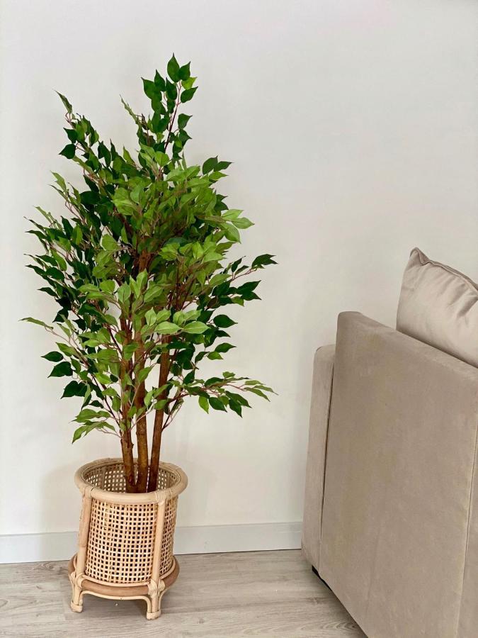 One-Bedroom Apartment,1053123592:JPEG