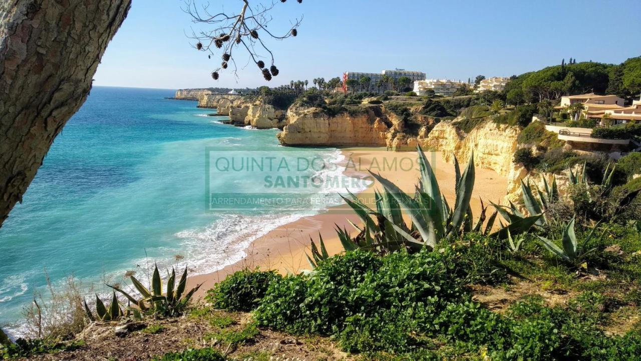 Apartment,1061724265:JPEG