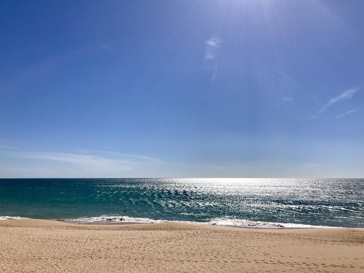 Three-Bedroom Apartment,528446112:JPEG