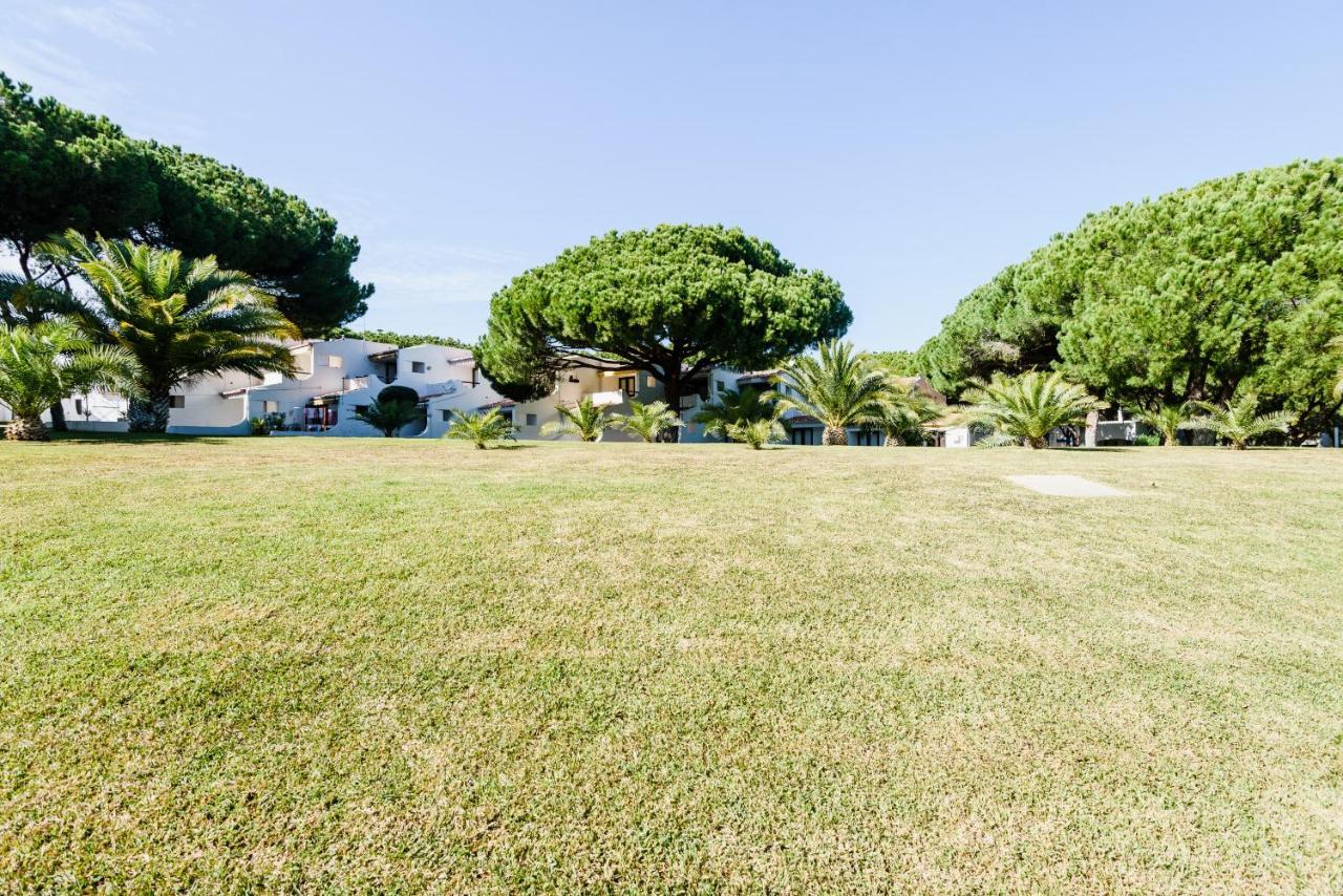 Apartment,771798967:JPEG