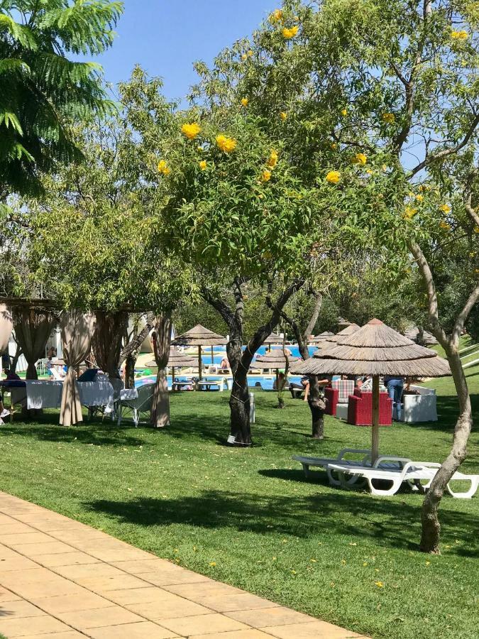 Studio Apartment (2 Adults),1437658132:JPEG