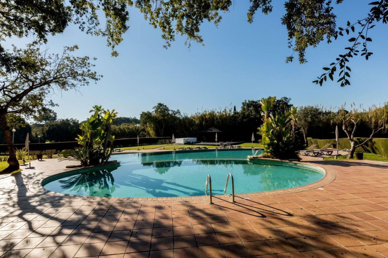 Apartment,899931892:JPEG