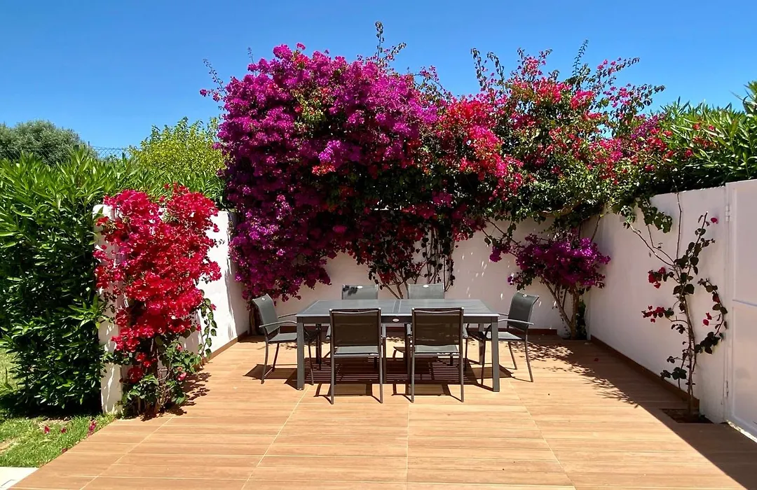 Galo - Private Pool - 8 Guests - Albufeira-1