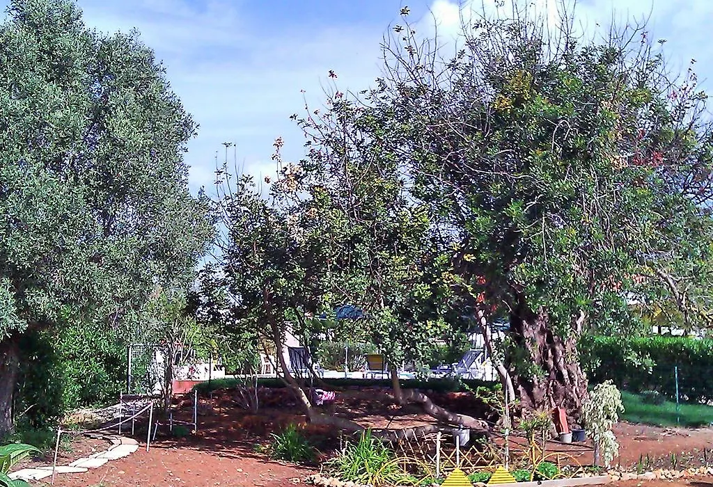 Quinta Casalinho-1