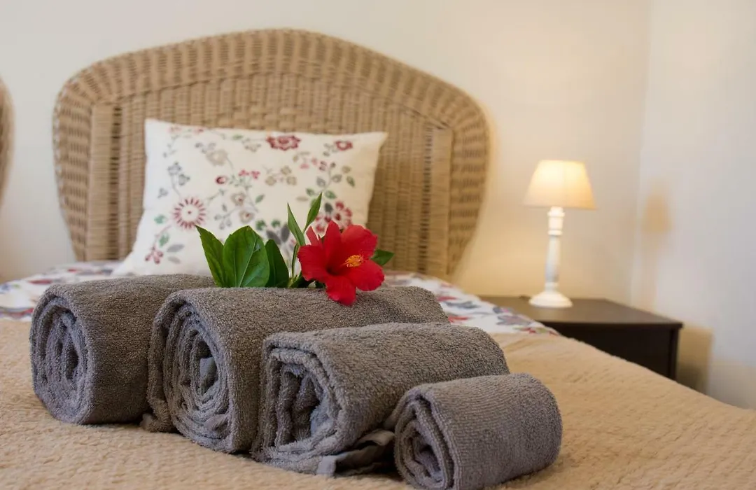 Villa Yvonne,Private Pool,Private Parking 1,7 Km From The Beach-1