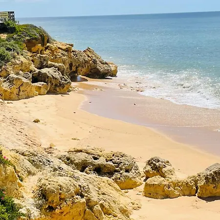 Bicos 101 - Shared Pool - 4 Guests - Albufeira-3