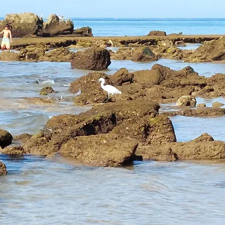 Paradise In Olhos D'Agua Beach-2