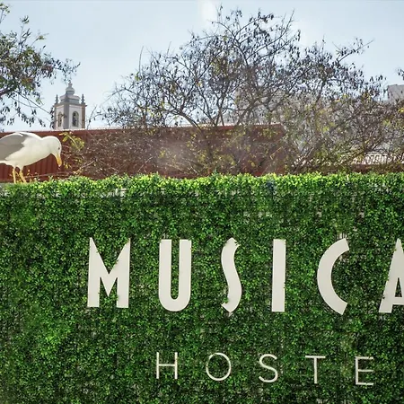 Musical Hostel-3