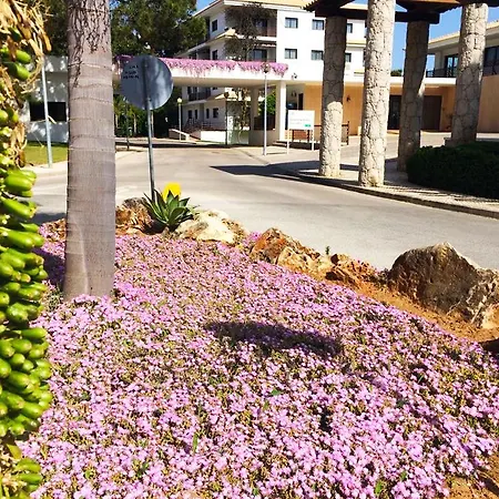 Pine Sun Park - Durcosa-3