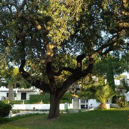 Balaia Luxury Apartment-3