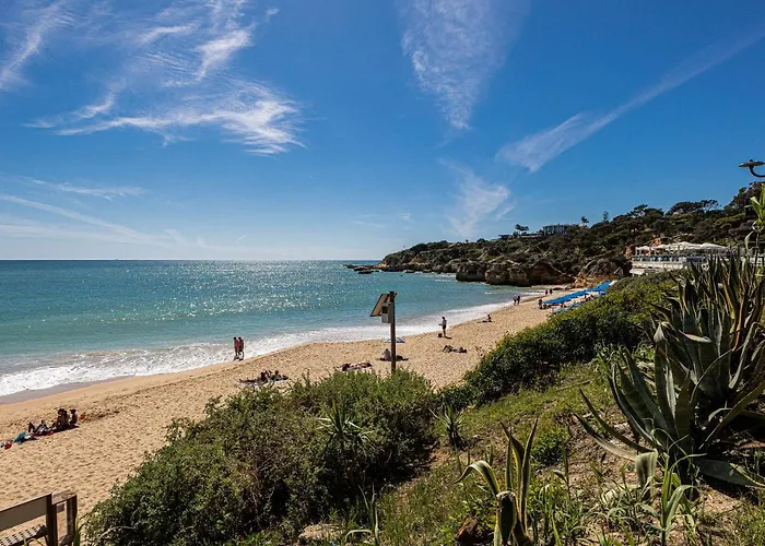 Window Paradise By Alzira Albufeira